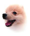 Postais de F�lix