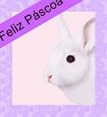 Postais de Coelho da P�scoa