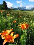 Enviar o postal: Primavera Alpes