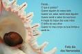Postais de Concha do Amor