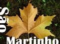 Postais de S�o Martinho em Flor