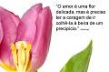 Postais de O amor �...